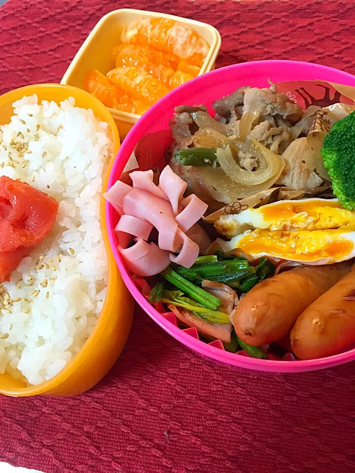 ２０１５年１月１６日 パパのお弁当♡|えり♡さん