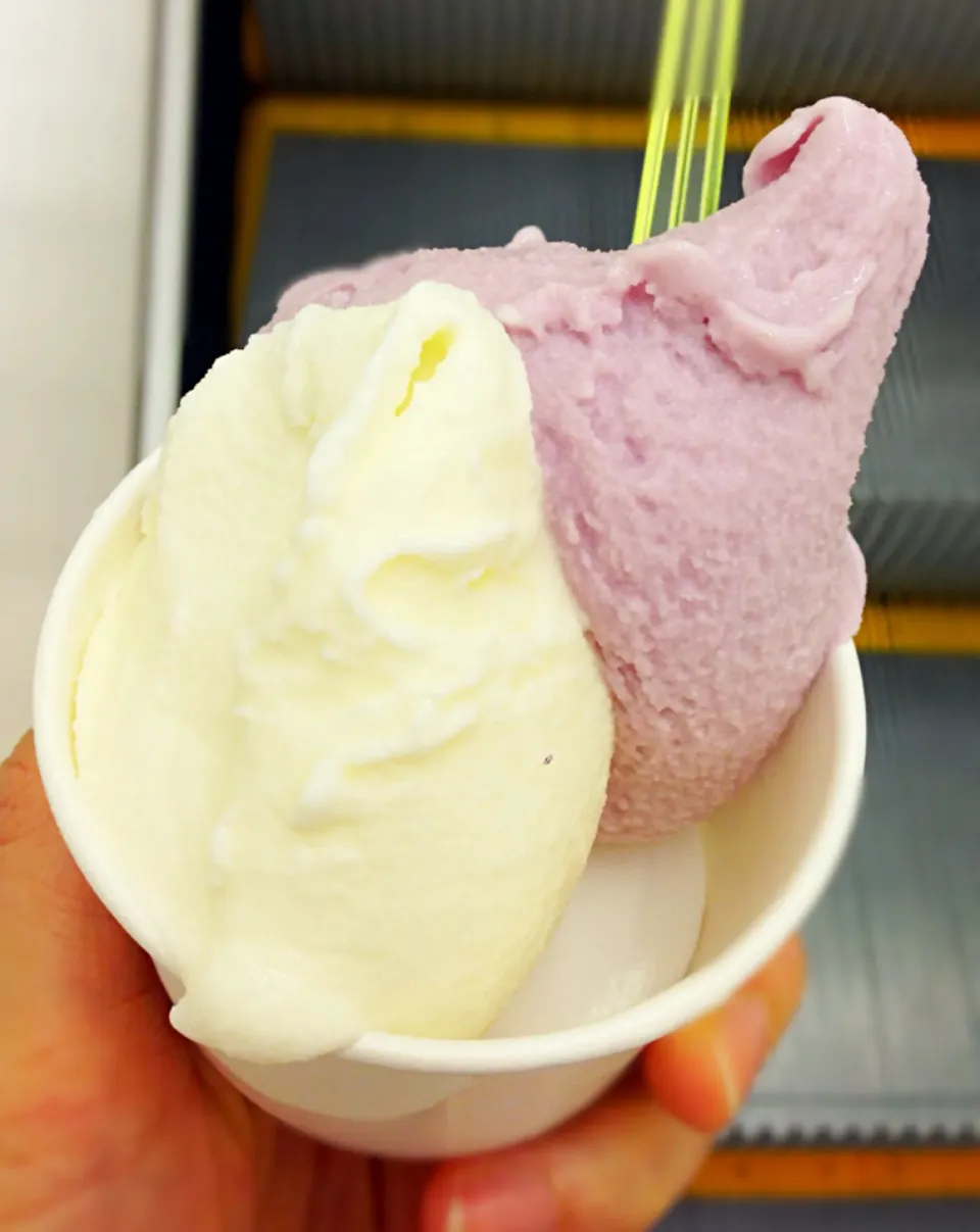 Snapdishの料理写真:Gelato from Okinawa, purple sweet potato and cream cheese@Okinawan Fair, Isetan|coxiella24さん