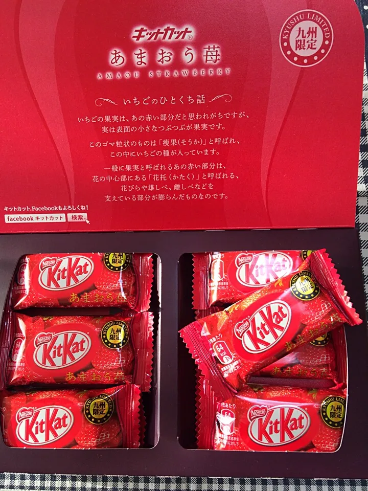 KitKat♡|yukoさん