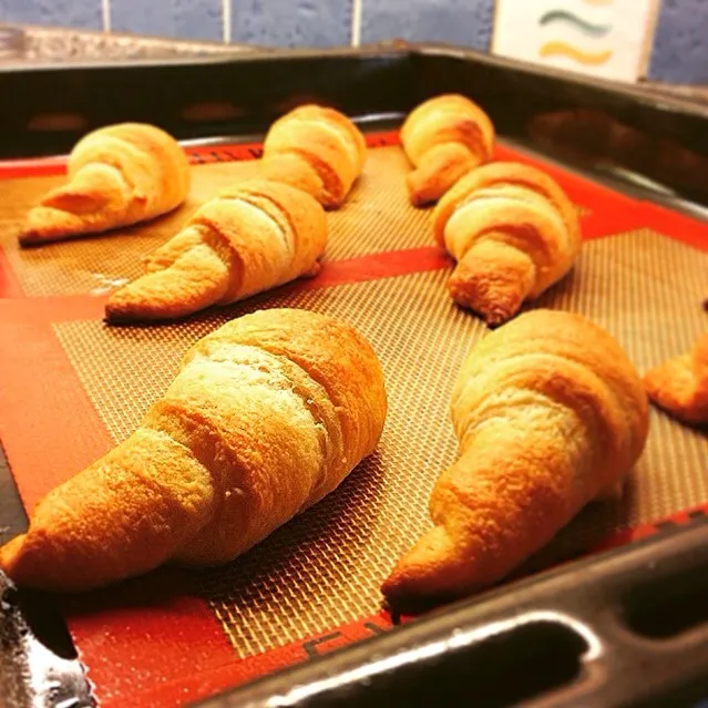 Freshly Baked Croissant. 焼きたてクロワッサン|Yuka Nakataさん