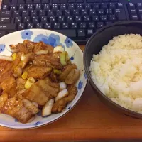 Snapdishの料理写真:葱爆肉|Loximさん