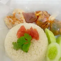 Snapdishの料理写真:nasi hainam home made... #Rice #chiken #Box lunch/Deli #Lunchbox|indryさん