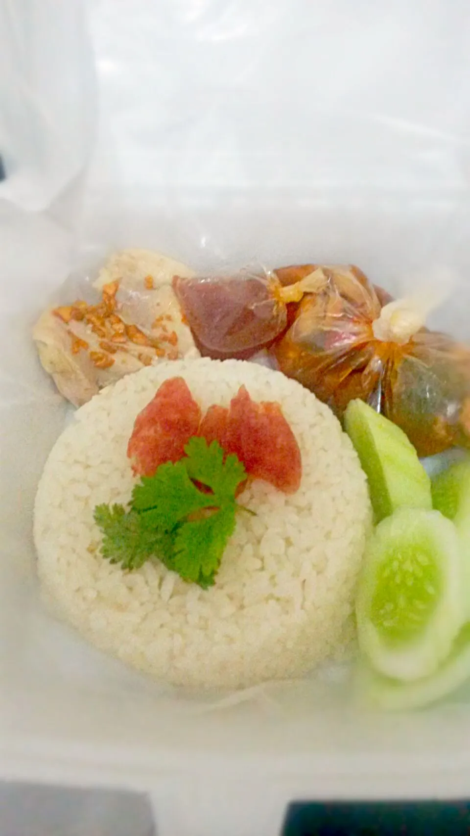 Snapdishの料理写真:nasi hainam home made... #Rice #chiken #Box lunch/Deli #Lunchbox|indryさん