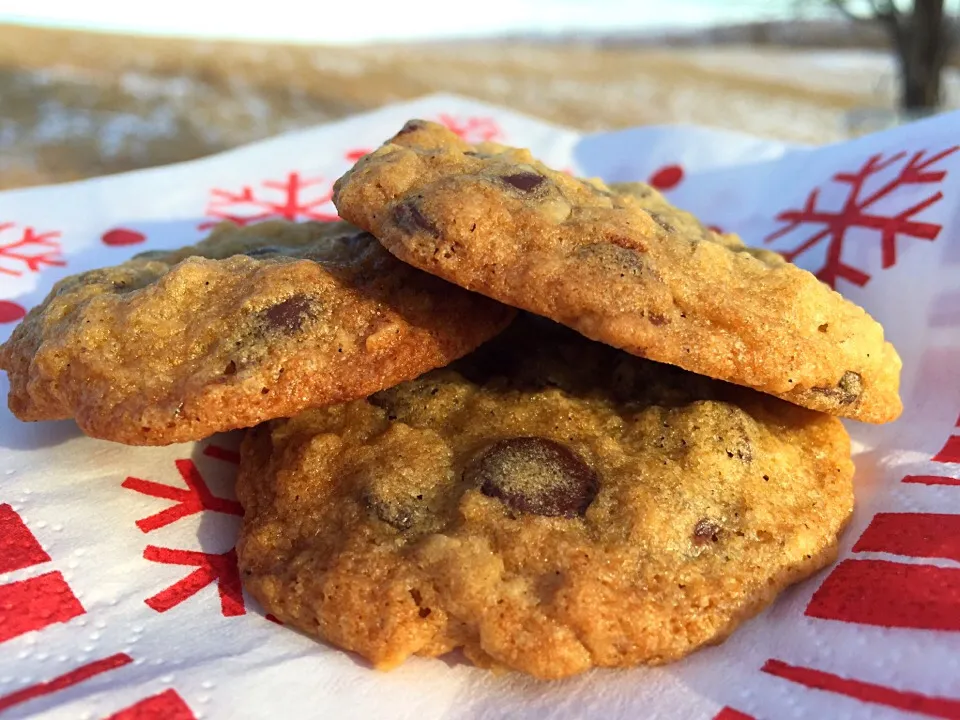 Oatmeal chocolate chip cookie|Dean M Rogersさん