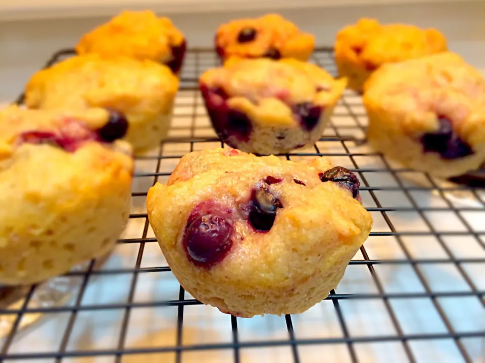 Gluten free lemon blueberry muffins|Mikiさん