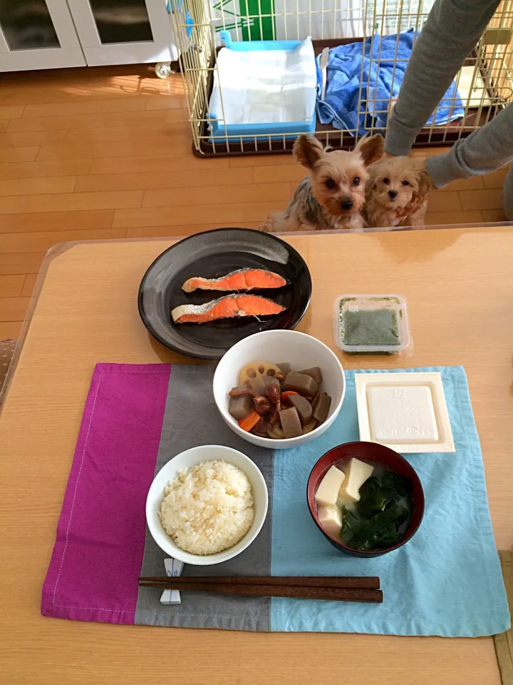 ☆ 焼き鮭|Fuyumi Nakanoさん