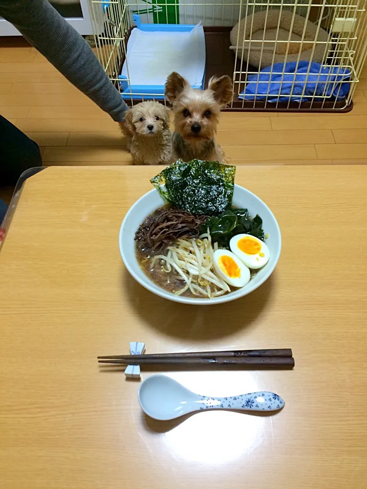 Snapdishの料理写真:☆ 醤油ラーメン|Fuyumi Nakanoさん