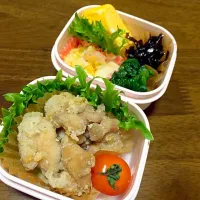 Snapdishの料理写真:から揚げ弁当|misamamaさん