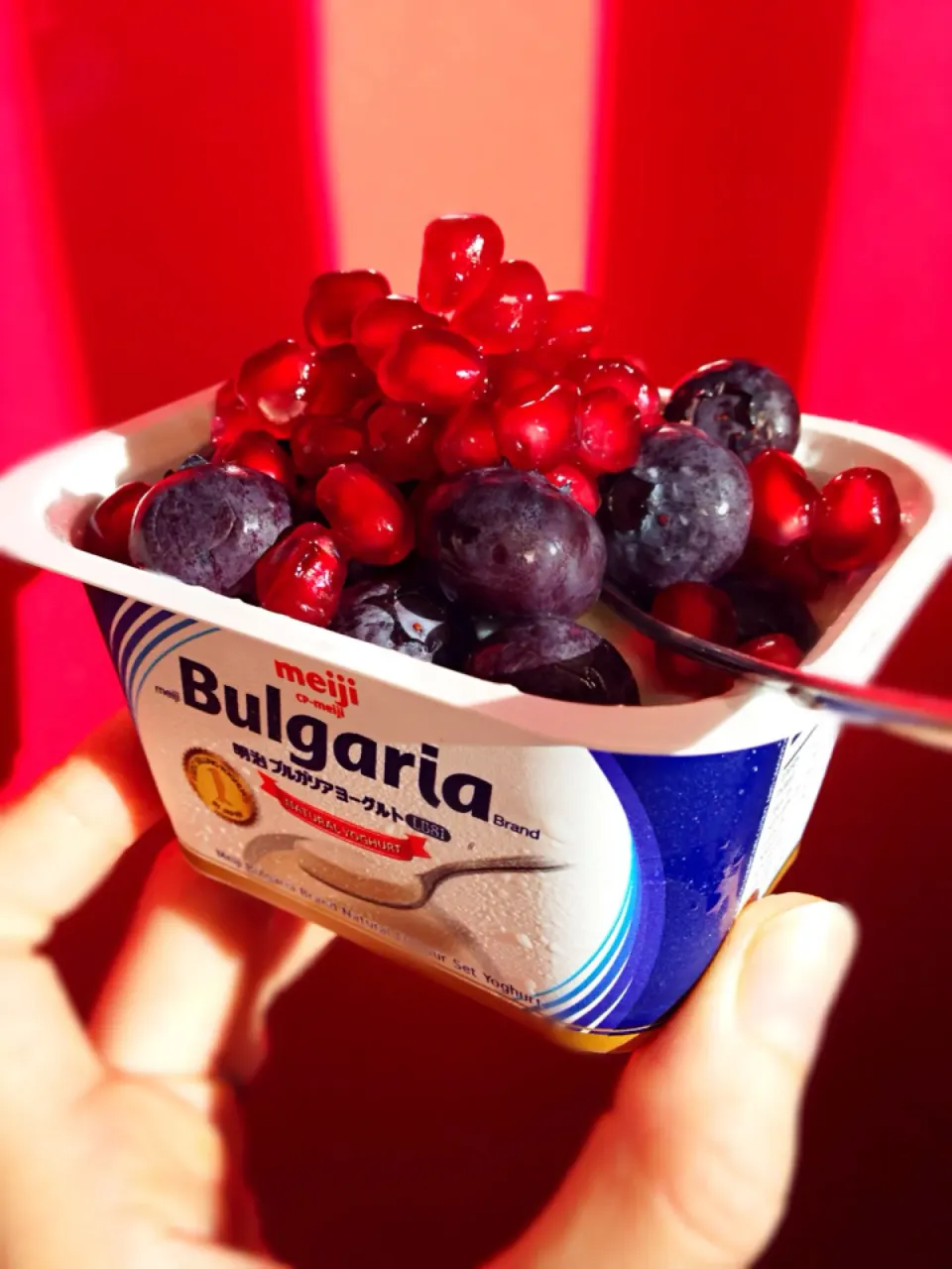 Yogurt with blueberries and pomegranate|coxiella24さん