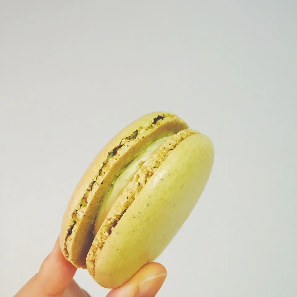 Macaron|Sophie Kimさん