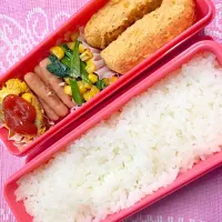 Snapdishの料理写真:お弁当記録|Yumiさん