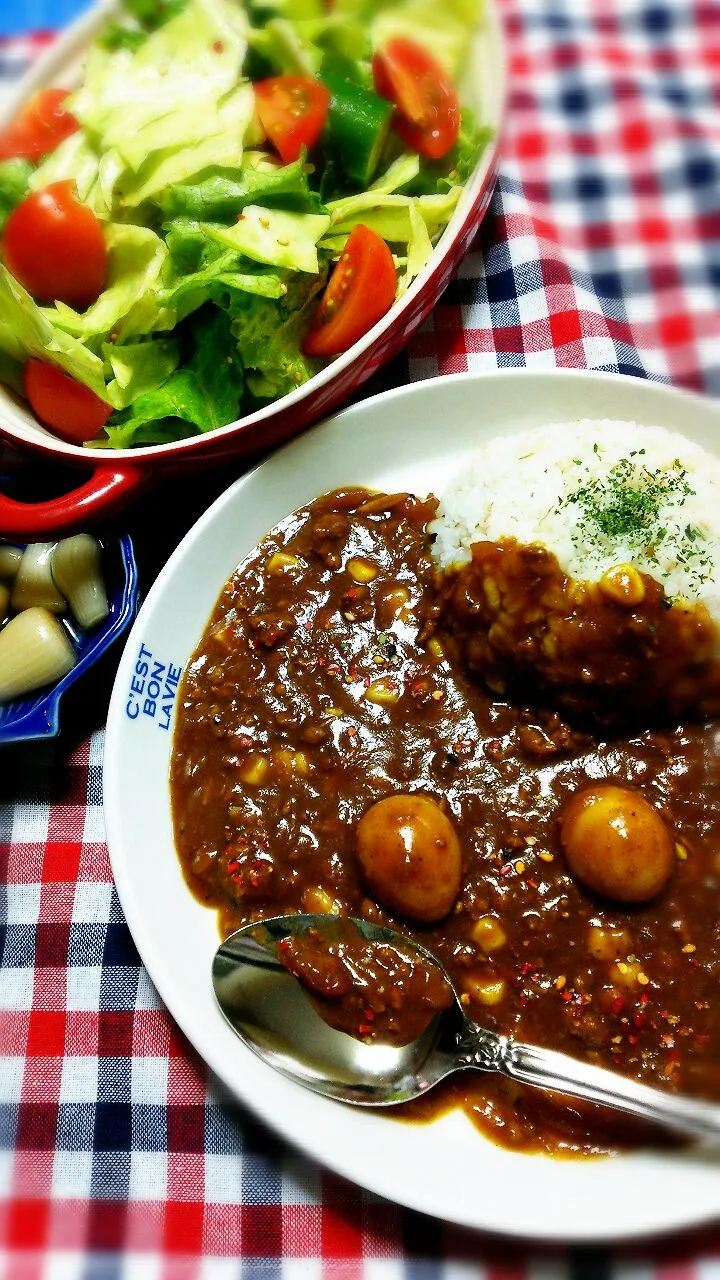 Snapdishの料理写真:キーマカレーぽい🍛 塩だれちぎり野菜サラダ🎵|☆Yumi☆さん