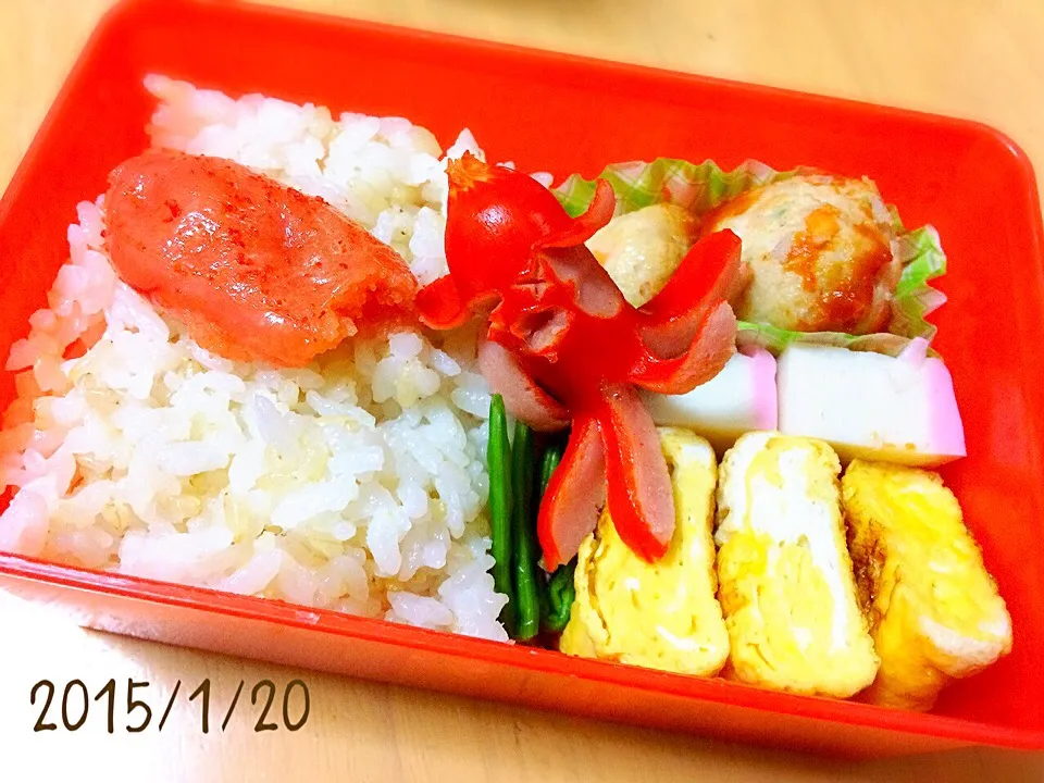 お弁当 2015/01/20|たまこっこさん