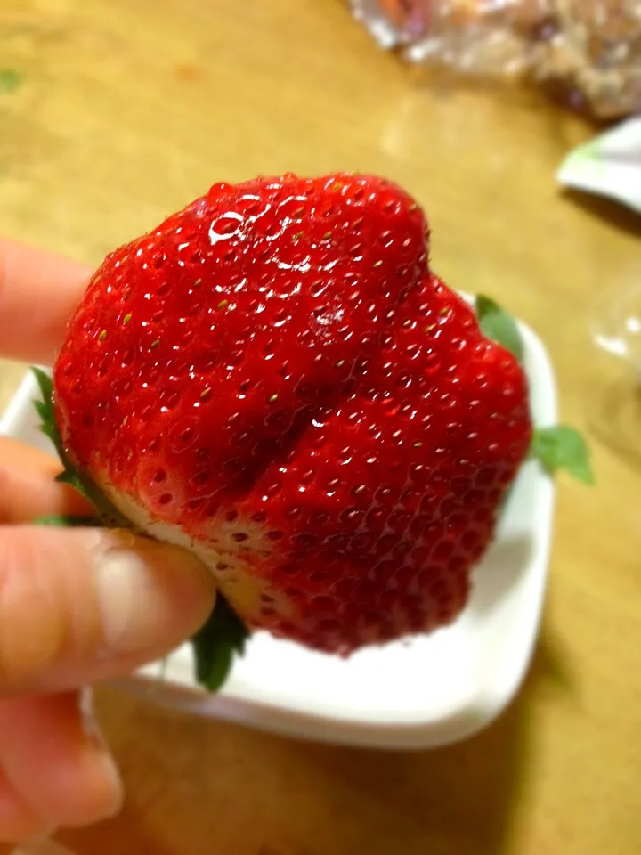 でっか~いイチゴ( ´ ▽ ` )ﾉ💕|Ayakoさん