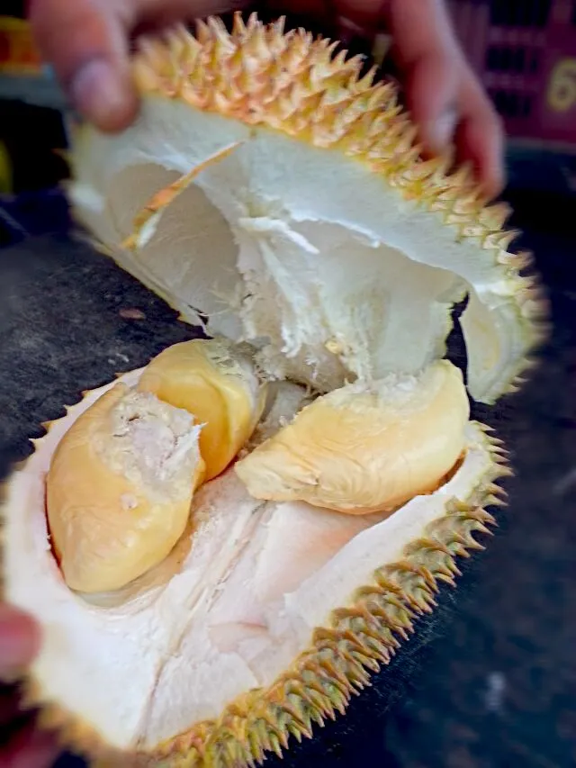 果物の王様　Durian !!!!  XO|korinoさん