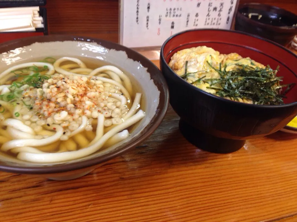 1501221 今日の昼飯|pin_floさん