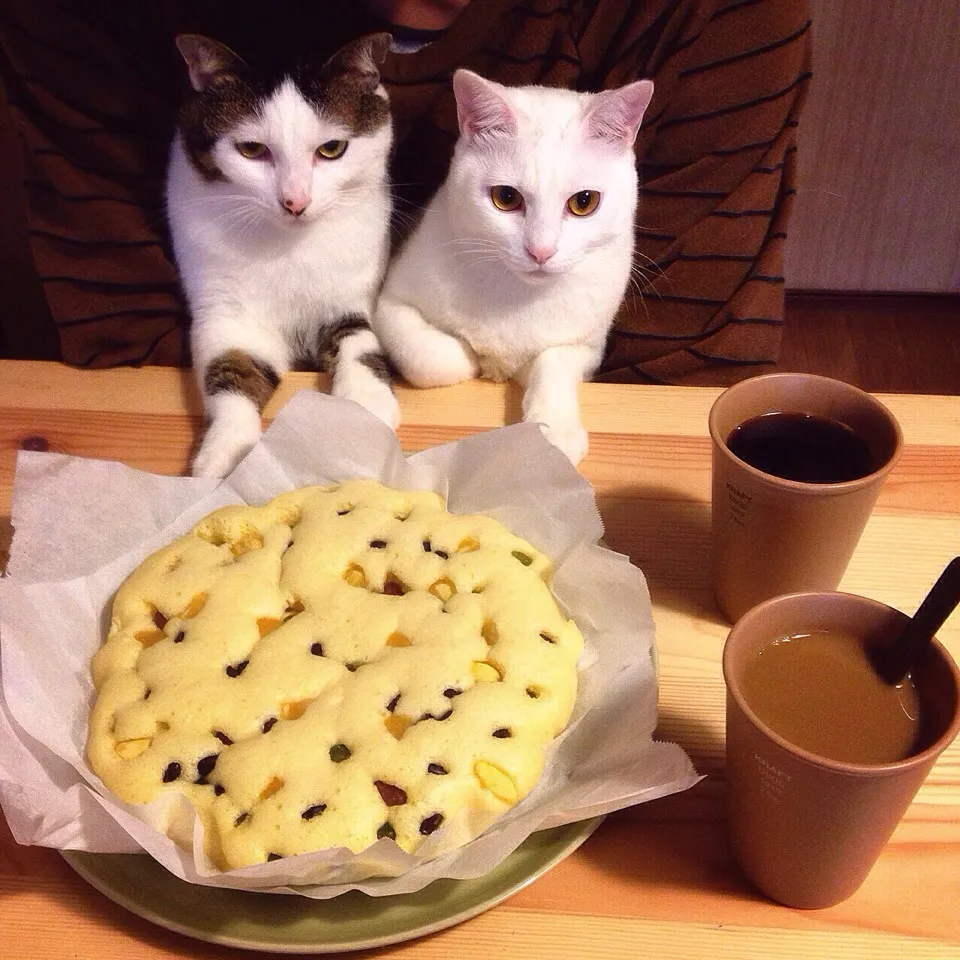 Snapdishの料理写真:甘納豆蒸しパン。|naouさん