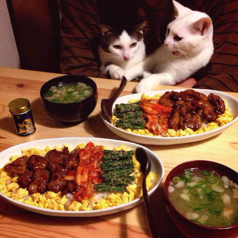 照り焼き親子丼、キムチのっけ。|naouさん