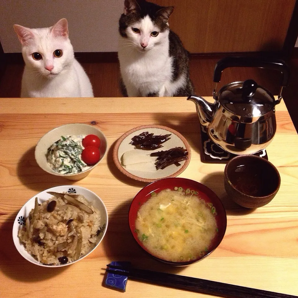 Snapdishの料理写真:ゴボウ、ち鷄挽き肉、シメジの炊き込みご飯。|naouさん