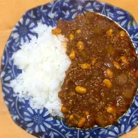 Snapdishの料理写真:ひき肉と大根と豆のカレー|いくたまゆみさん