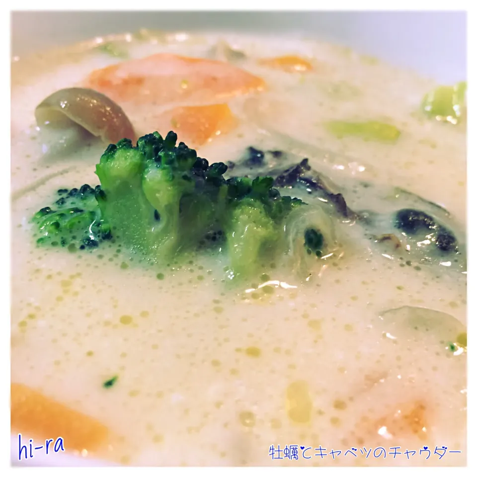 『牡蠣とキャベツのチャウダー』|まろんさん