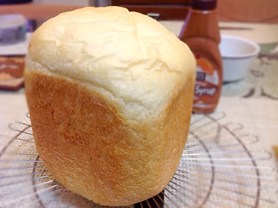 ゴパンが焼けたわ〜🍞😋|アライさんさん