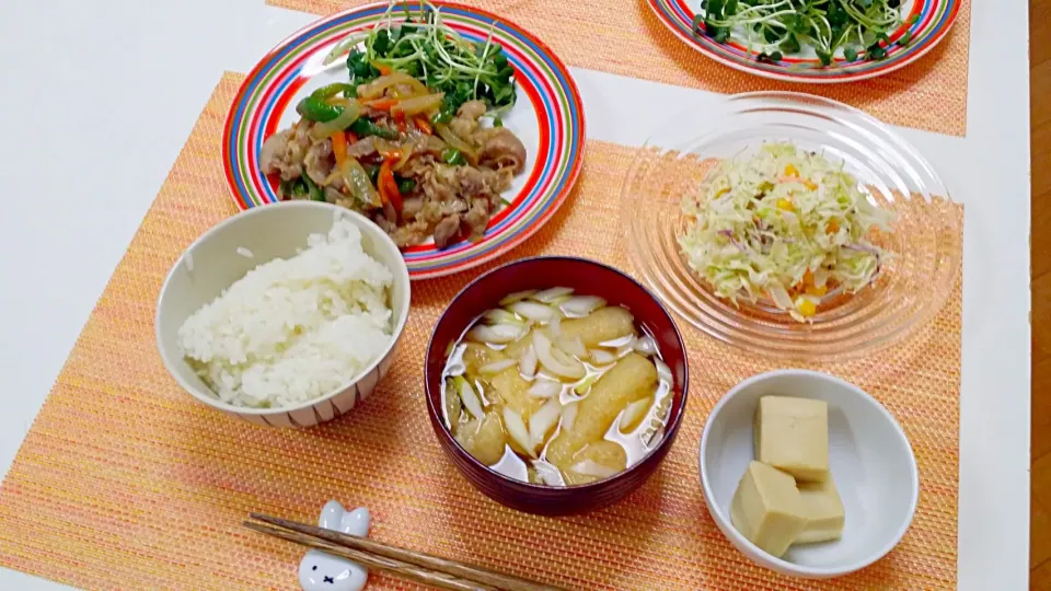 Snapdishの料理写真:今日の夕食 野菜たっぷり生姜焼き、コールスロー、高野豆腐の煮物|pinknari🐰🌈さん