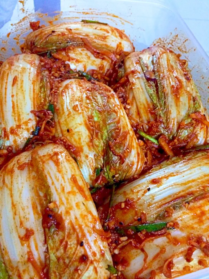 Homemade cabbage kimchi #kimchi #koreandish #wholesomedish #homecook #healthydiet #weightlossdiet|Kenex Kum Chee Kuanさん