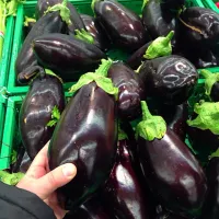 Snapdishの料理写真:Italian organically grown jumbo eggplants|Andy Martiniさん