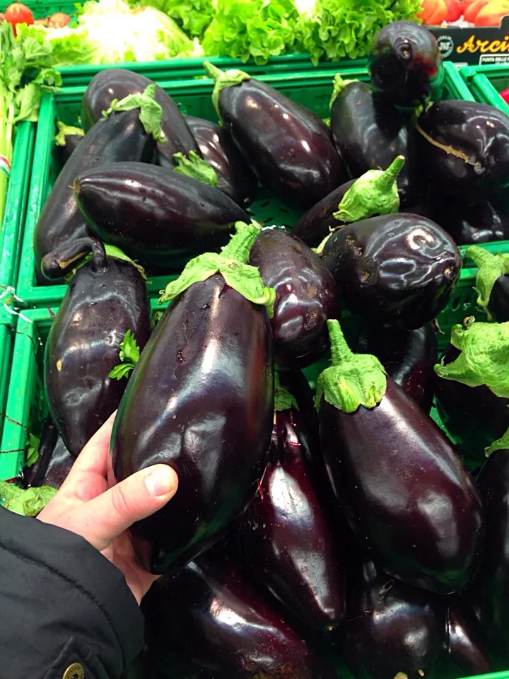 Snapdishの料理写真:Italian organically grown jumbo eggplants|Andy Martiniさん