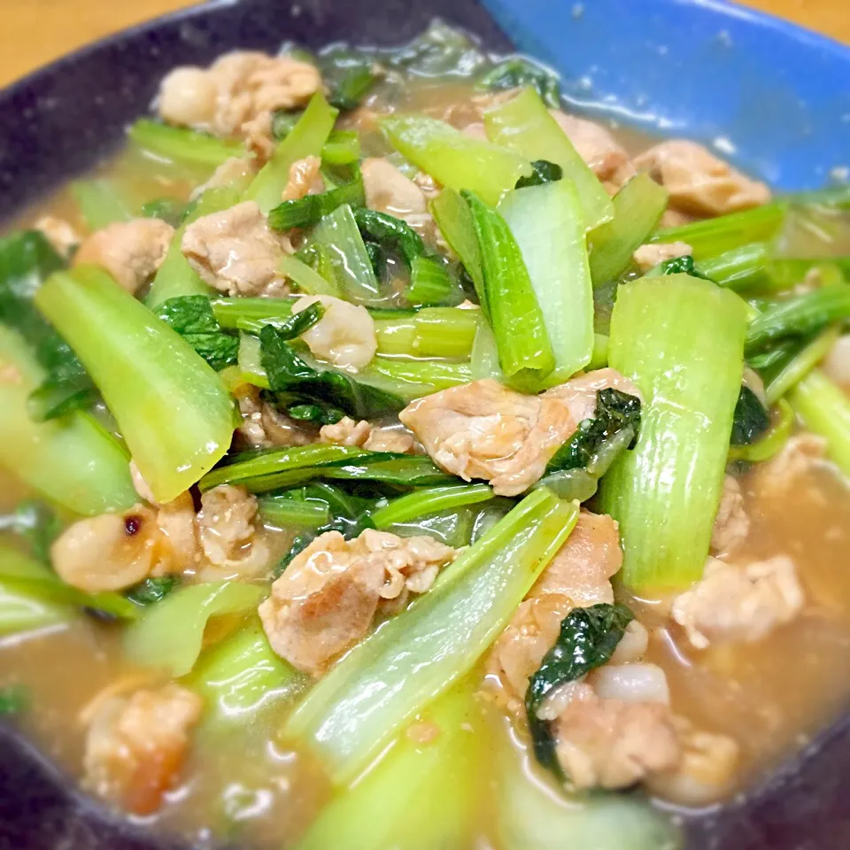 ちんげん菜と豚肉のオイスター炒め|TORUさん