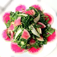 Snapdishの料理写真:Watermelon radish and arugula salad with shaved asparagus and jalapeño dressing.|Patricia Aさん