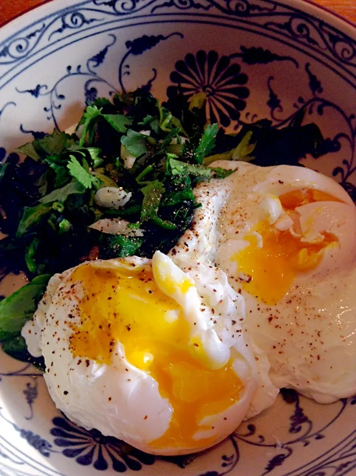 Poached eggs and wilted spinach|Mistaleさん