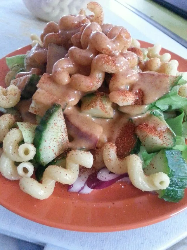 today's salad all dressed up.  with Boston lettuce,  red onion,  cucumber,  chili powder,  pasta,  And homestead French dressing.|Polly Gelfusoさん