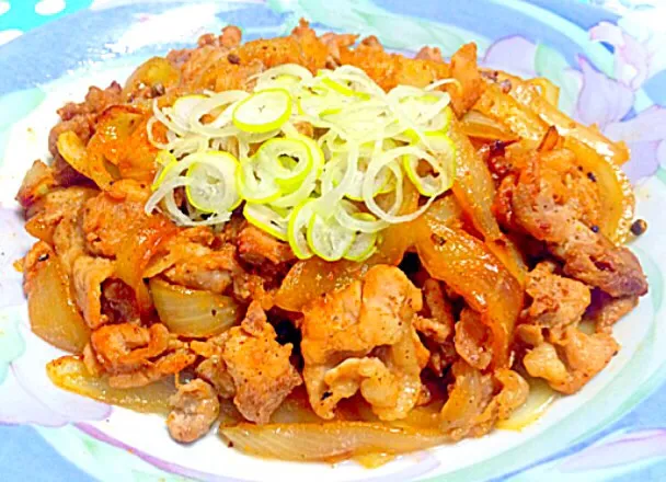 豚肉と玉ねぎの炒め物 - Pork & onion stir fry 😋✨|Liezlさん