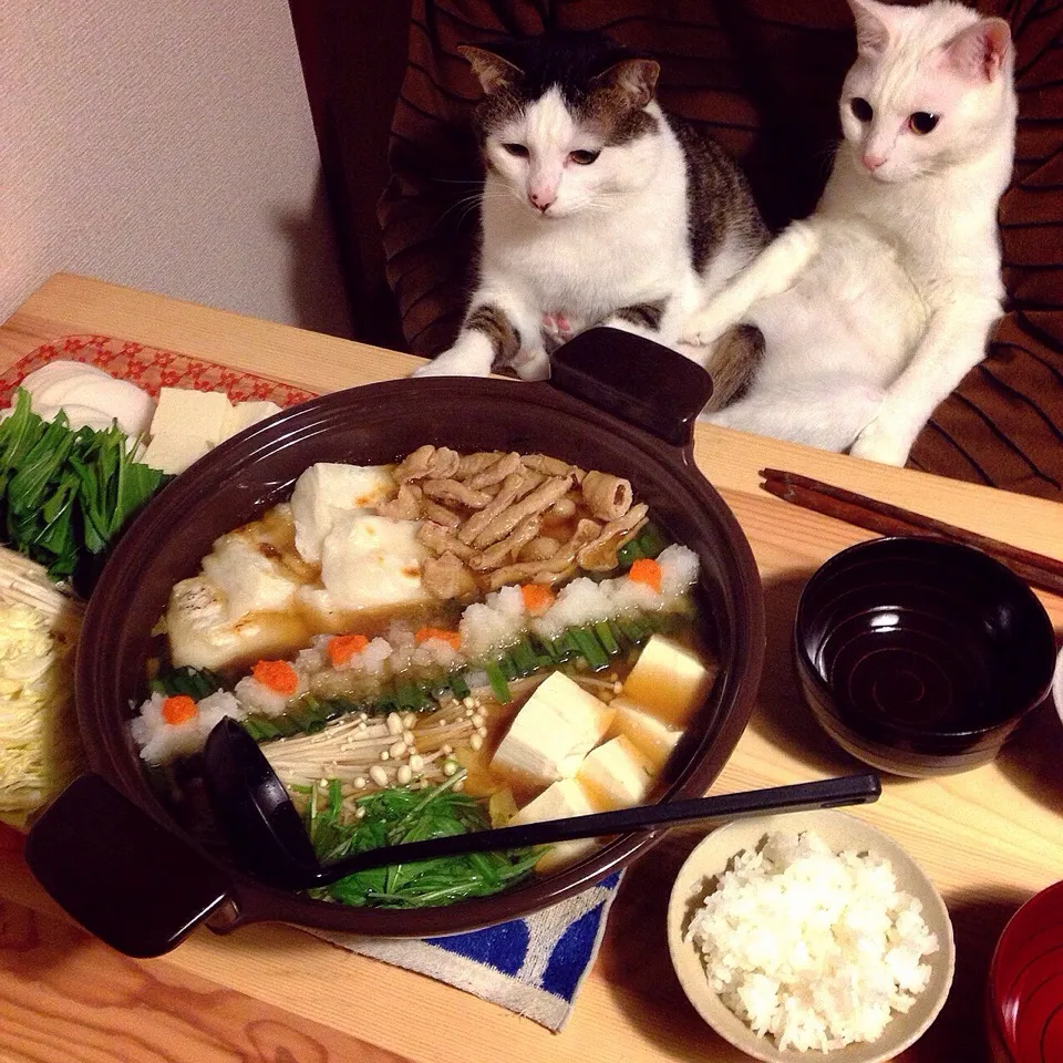 モツみぞれ鍋、焼き餅トッピング。|naouさん