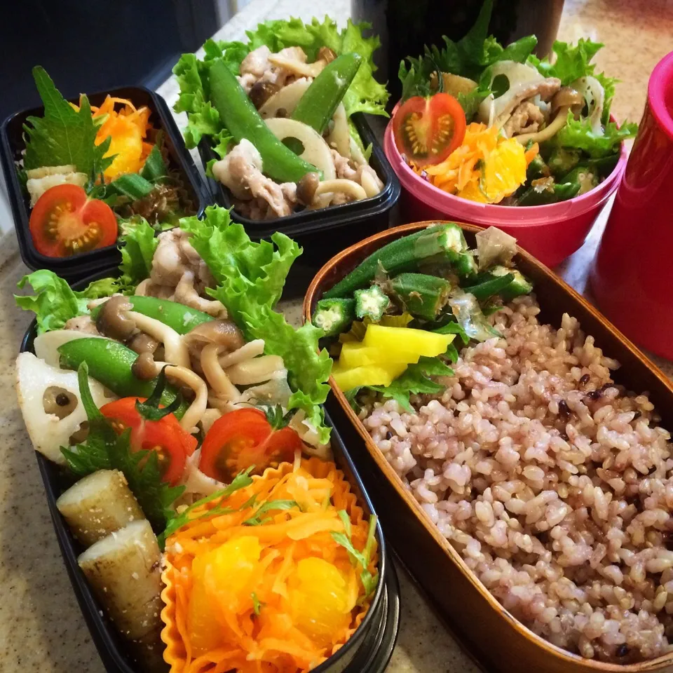 1/29 今日のお弁当|naoさん