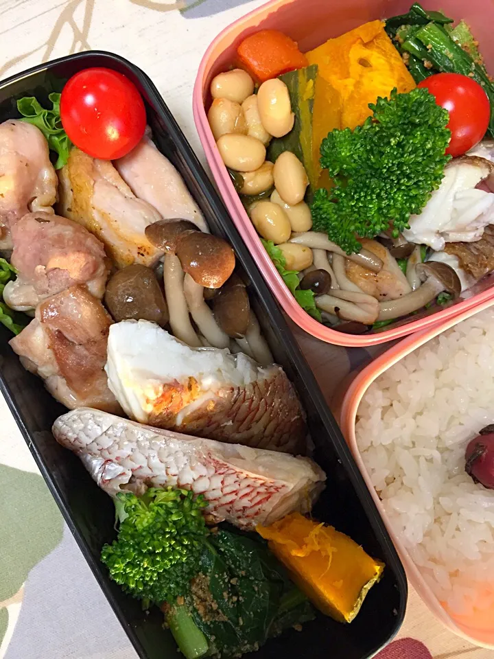 今日のお弁当|chiinaさん