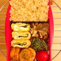 玄米ご飯のお弁当|Ai Katoさん