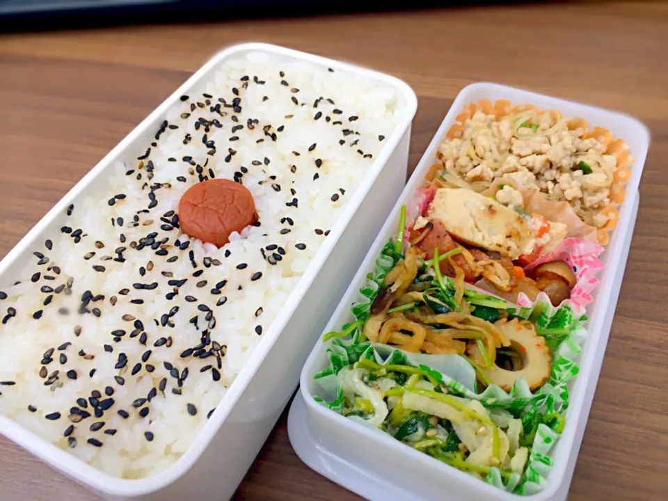 Snapdishの料理写真:お弁当0129|まぎーさん