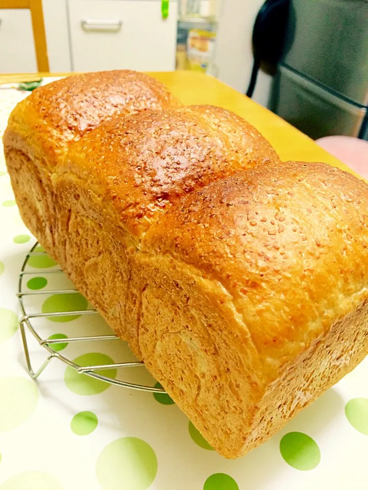 オーツ麦ふすま入り食パン🍞|ブー吉さん