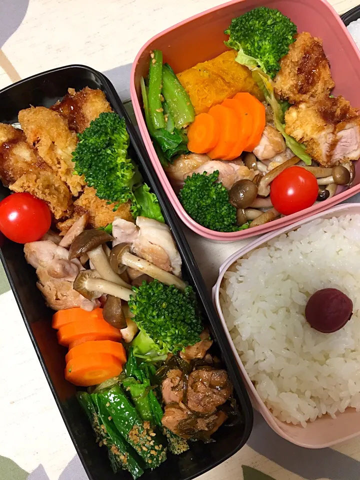 今日のお弁当|chiinaさん