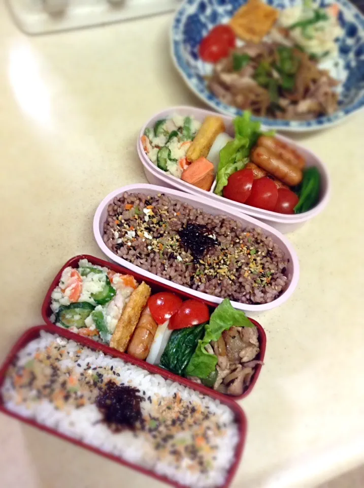 Snapdishの料理写真:Today's lunch boxes & JK lunch plate. 雪なのでハニーにもお弁当作ってあげた♪|hoppycowさん