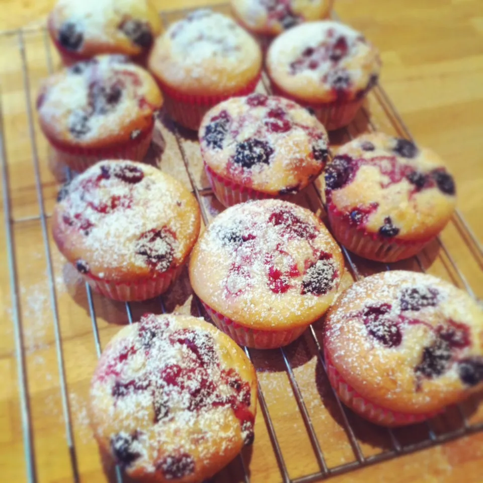 Summer berries muffin|Carol Liさん