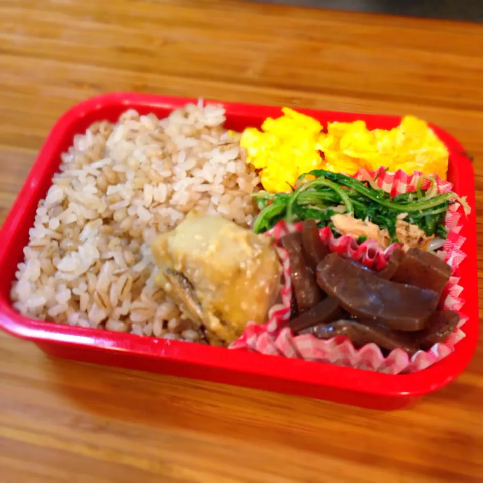 Snapdishの料理写真:自分用適当弁当|まなみさん