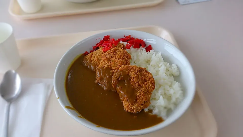 Snapdishの料理写真:かぐらゴンドラ山頂レストランのポークカツカレー|ミナミ ヒロヤさん