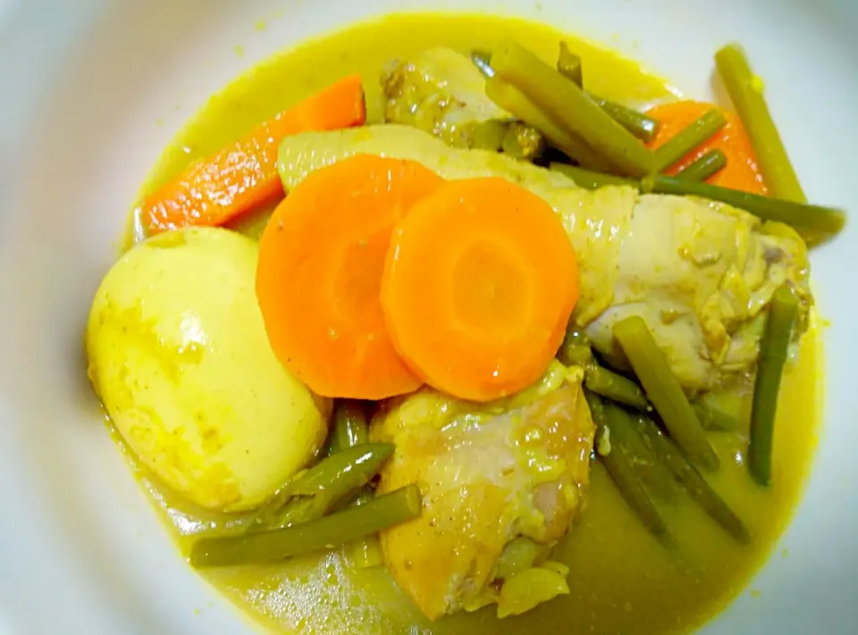 Gulai ayam...|MsBitseeさん