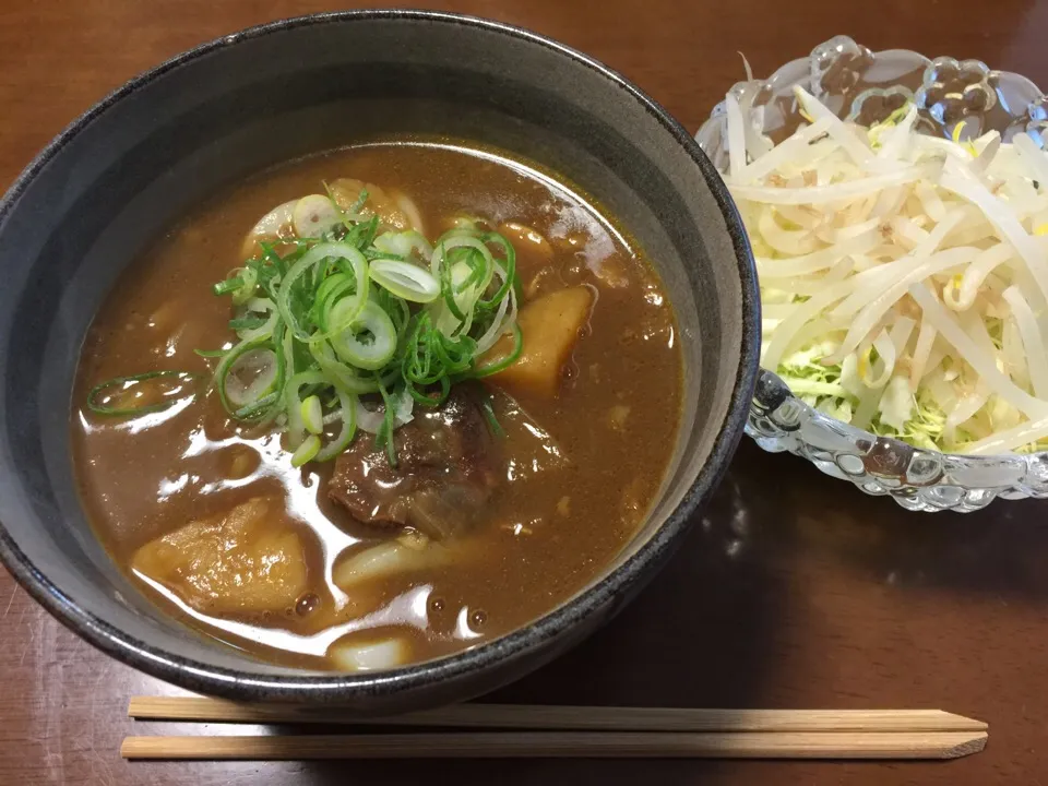 カレーうどん|愛ペガさん