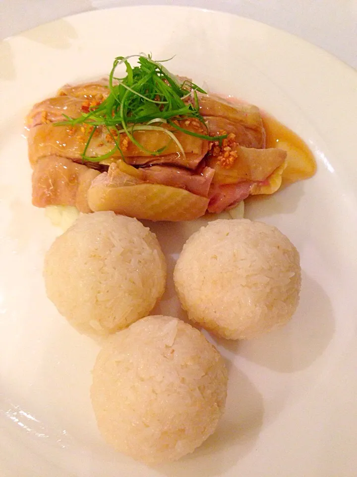 Steam chicken with rice balls t|sgさん