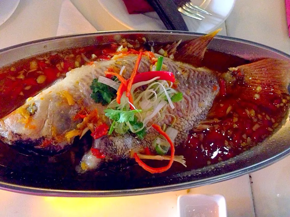 Sea bass fish with Vietnamese sauce|sgさん